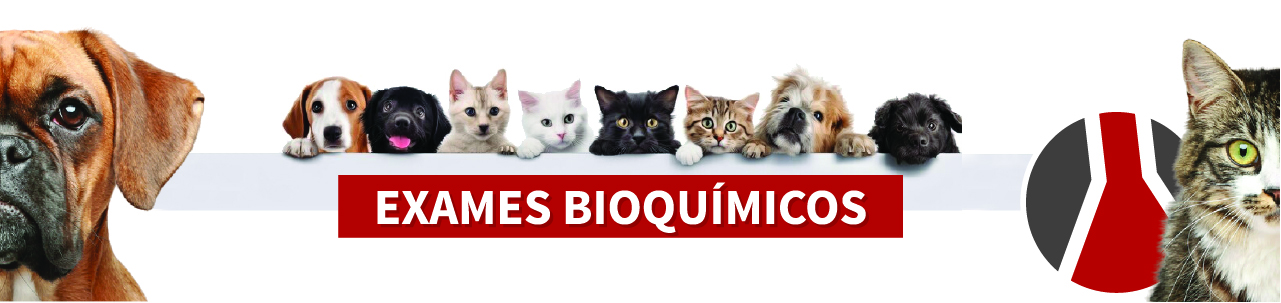 Exames Bioquimico